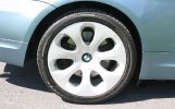 IMG_8553 - Copy