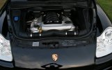 IMG_7036 - Copy