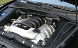 IMG_7037 - Copy